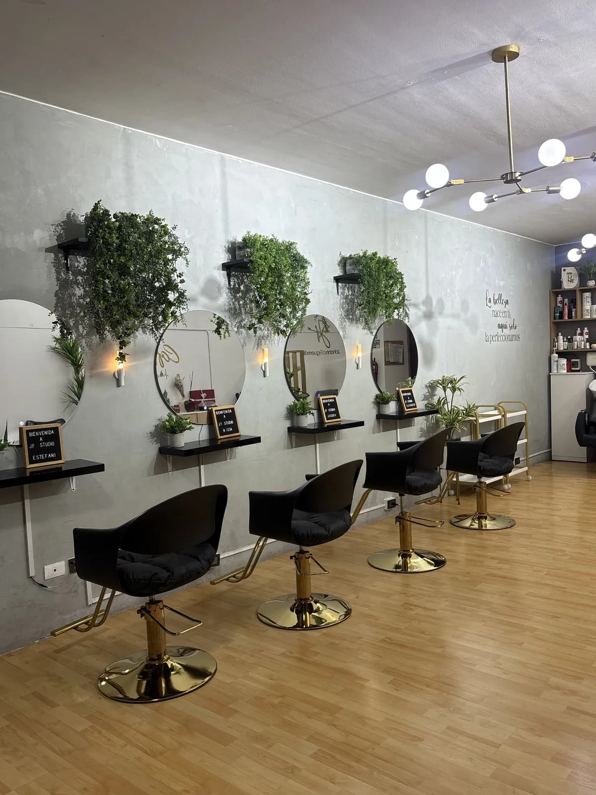 Espacio de trabajo en JF Studio
